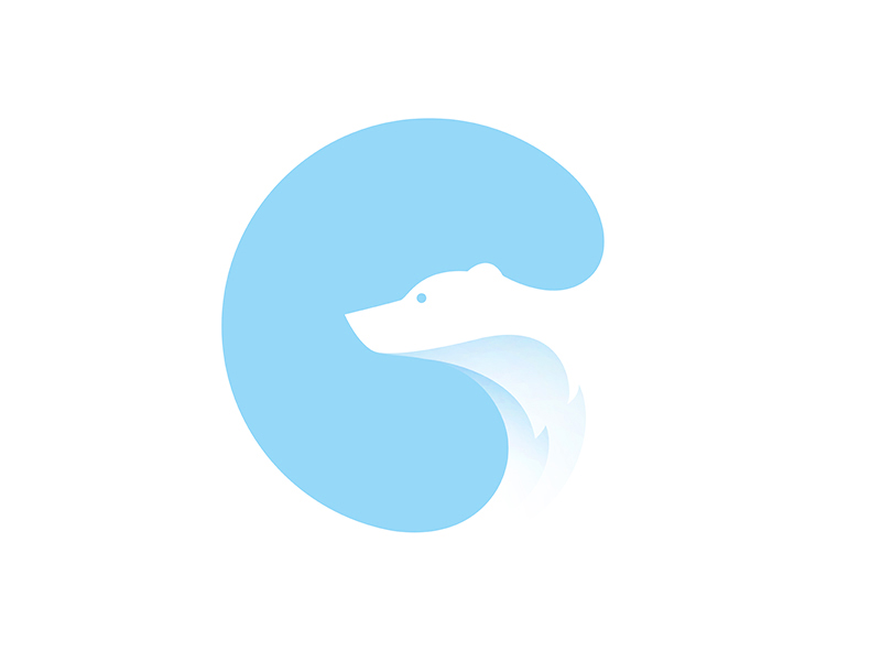 Northern Institute for Medical Education